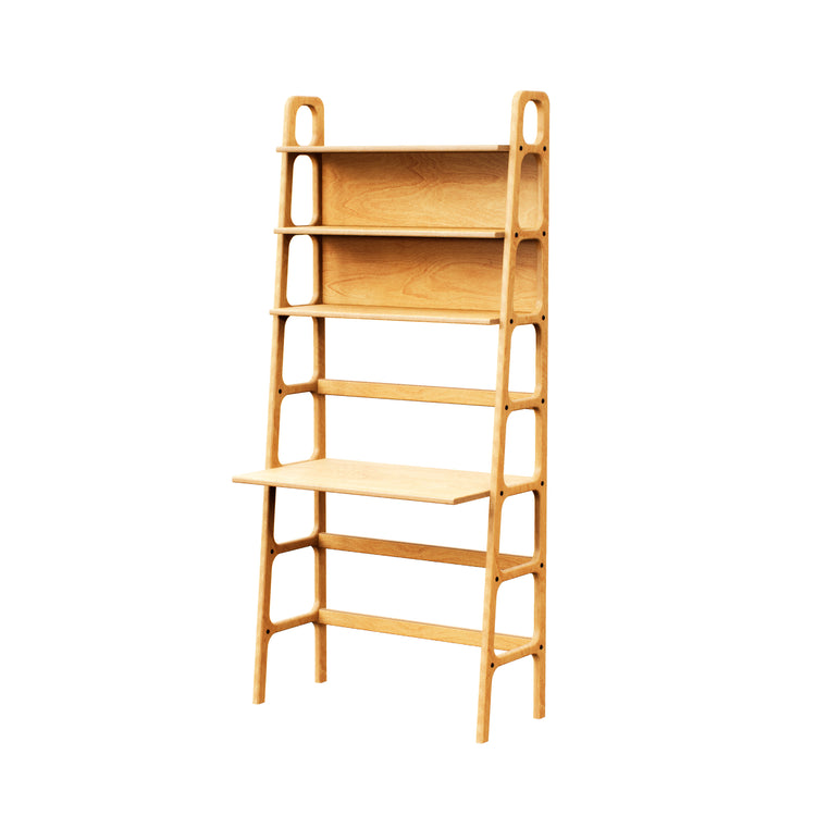 bookcase-with-desk-mid-century-modern-design