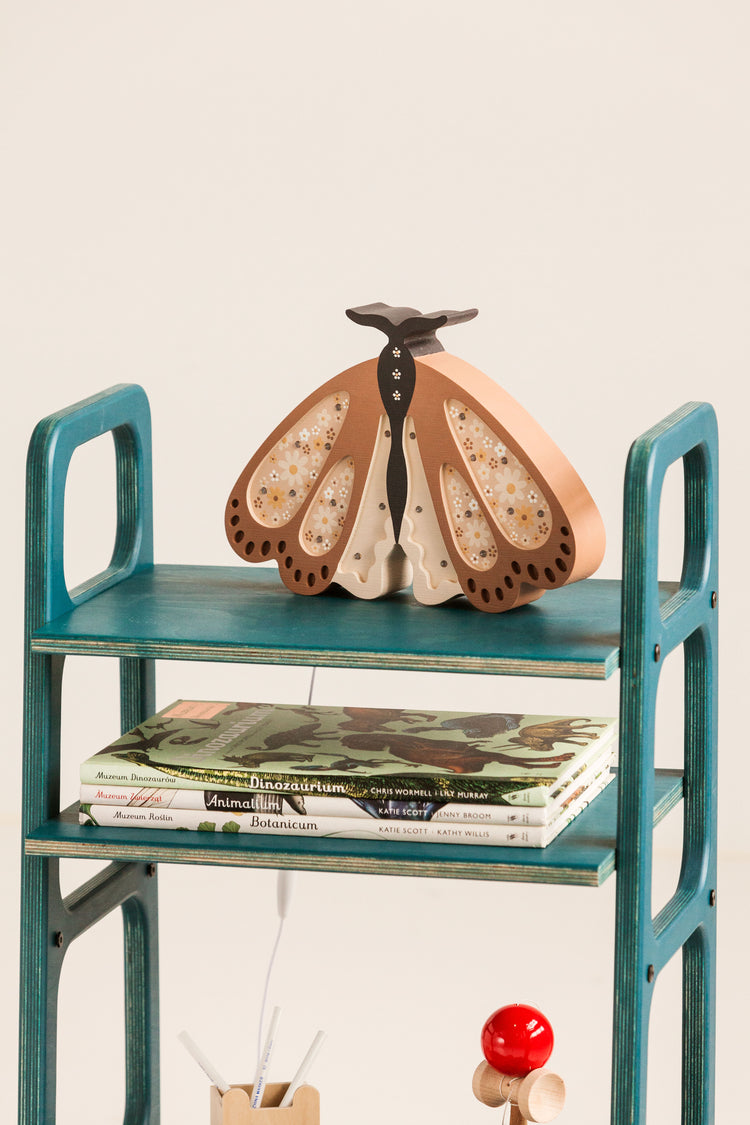 Bookcase Mini with vinyl space