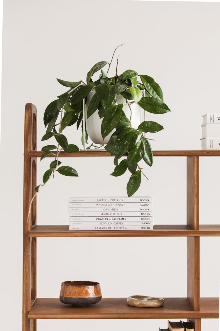 Bookcase Double Maxi I