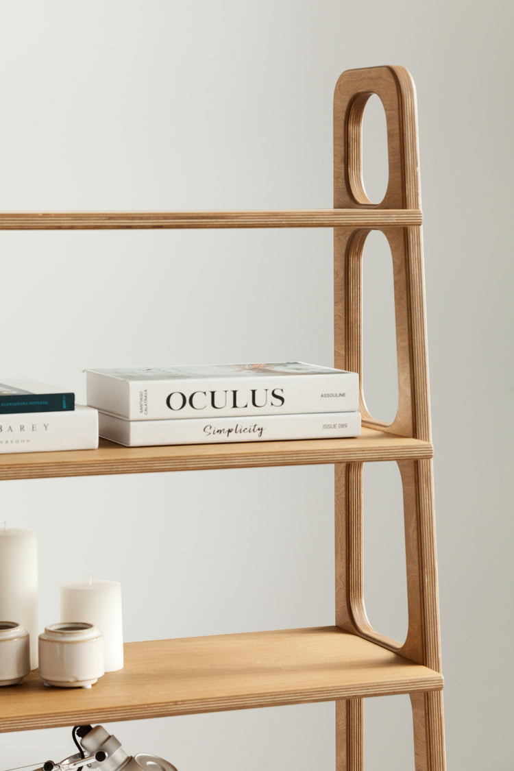 Bookcase Maxi with cabinet