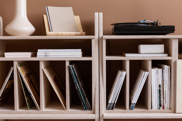 Bookcase Midi with vinyl