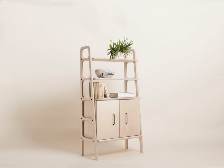 Bookcase Midi with cabinet
