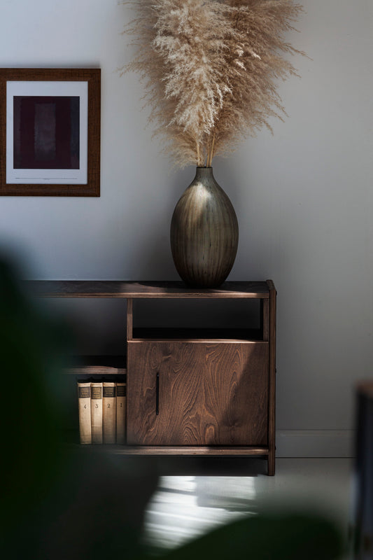Mid-century TV stand and media console with two cupboards and open shelves in dark wood finish