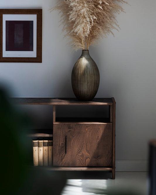 Mid-century TV stand and media console with two cupboards and open shelves in dark wood finish