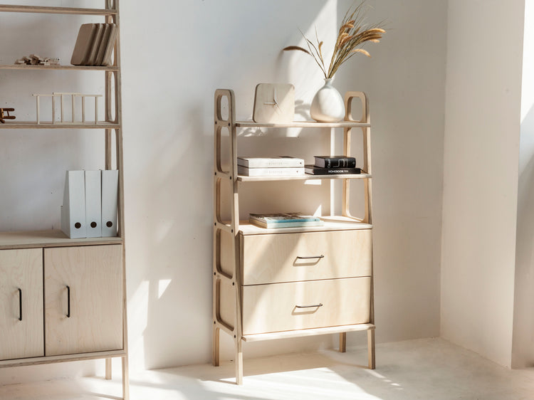 mid-century-modern-shelves