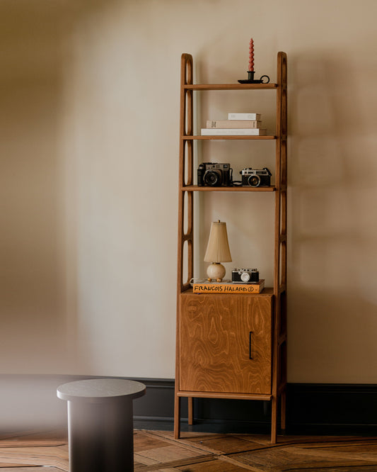 walnut-bookcase-with-cabinet-in-mid-century-modern-style