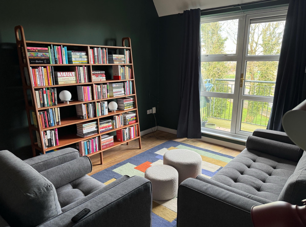 Large plywood bookcase filled with colorful books in a modern Irish living room