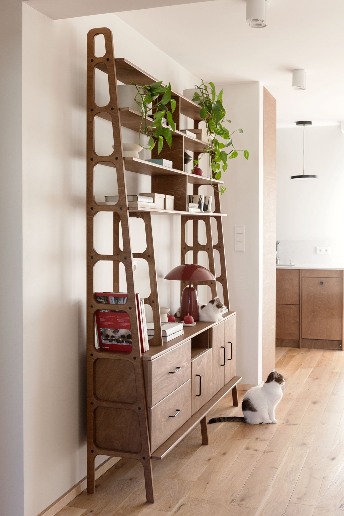Mid-century birch plywood modular shelving in a small apartment
