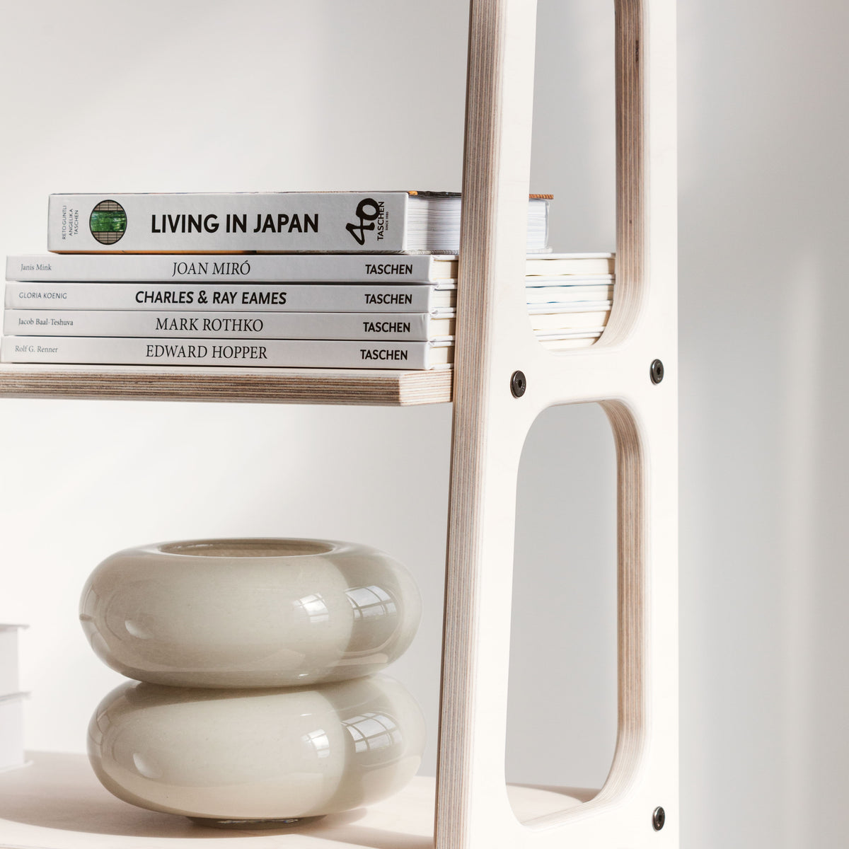Bookcase Maxi with cabinet open
