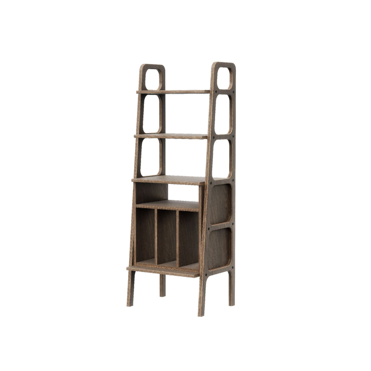 bookcase-moder-scandinavian-design-with-vinyl-shelf