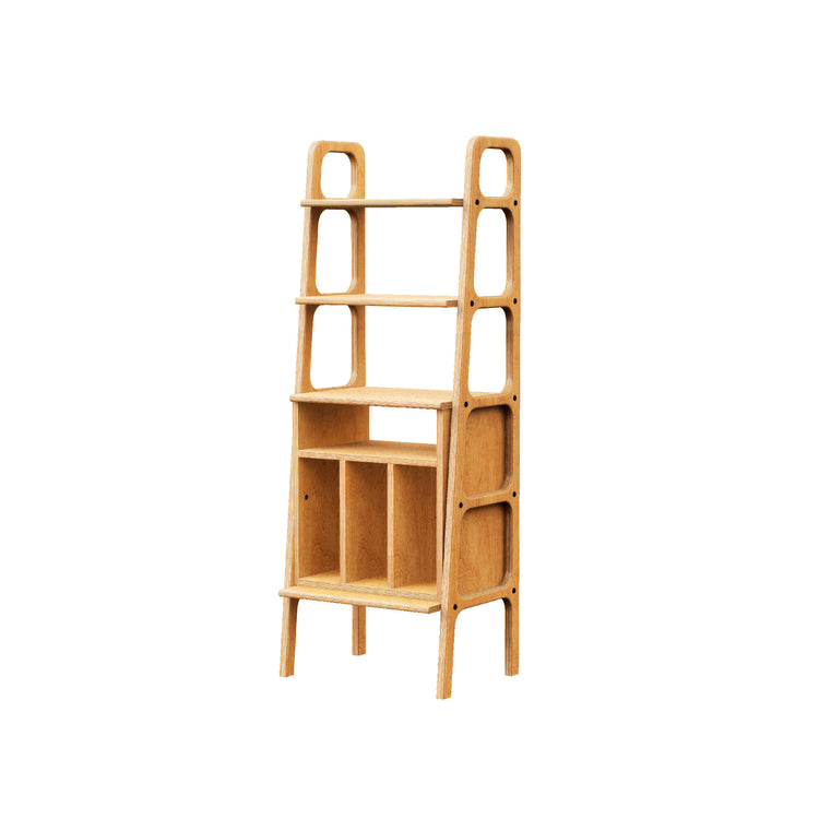 bookcase-moder-scandinavian-design-with-vinyl-shelf