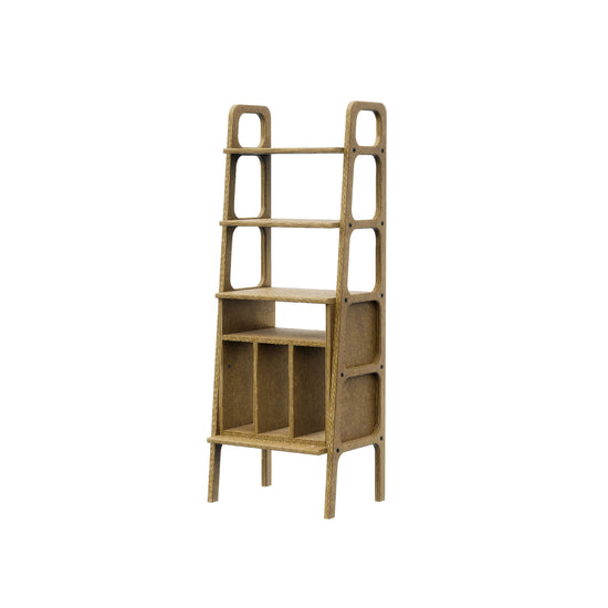 bookcase-moder-scandinavian-design-with-vinyl-shelf