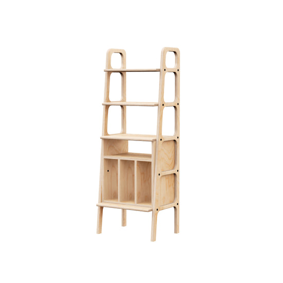 bookcase-moder-scandinavian-design-with-vinyl-shelf