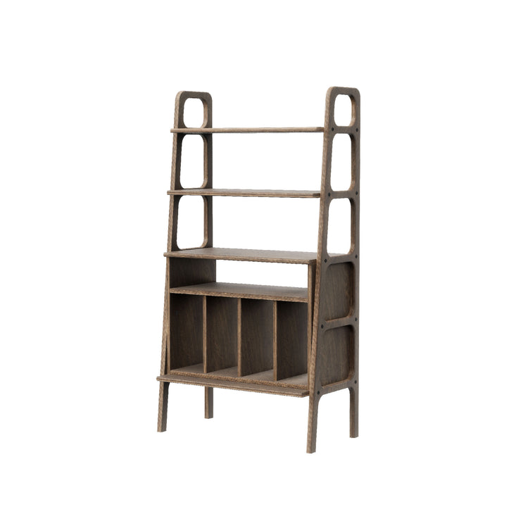 bookcase-moder-scandinavian-design-with-vinyl-shelf