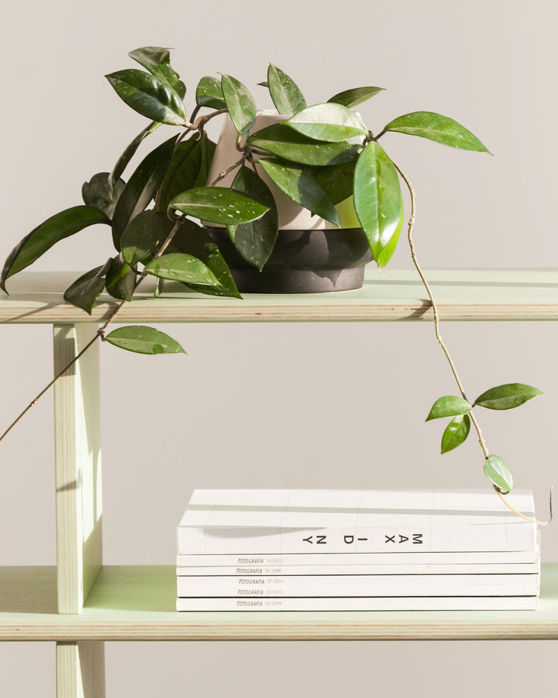 Bücherregal Midi W120