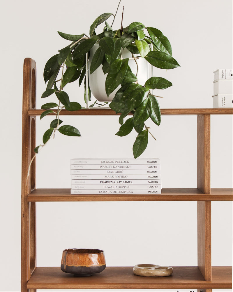 Maxi Library Bookcase · 190 cm
