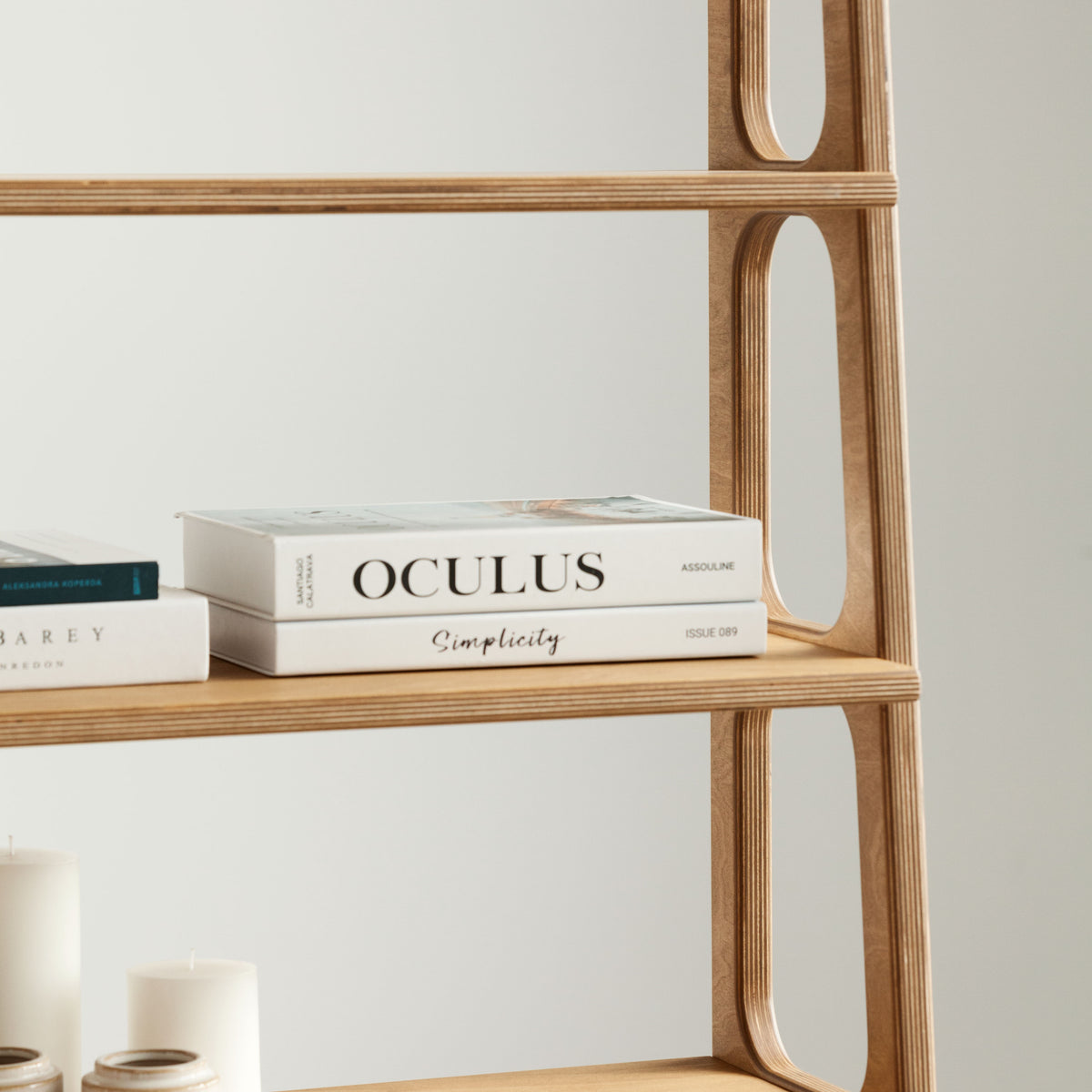 Bookcase Maxi with cabinet