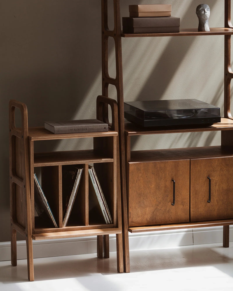 Vinyl Record Wall Unit · Set IV