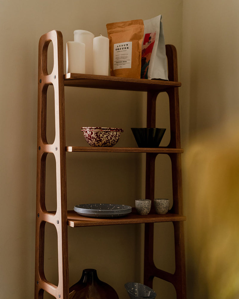 Walnut-mid-century-modern-bookcase-with-cabinet