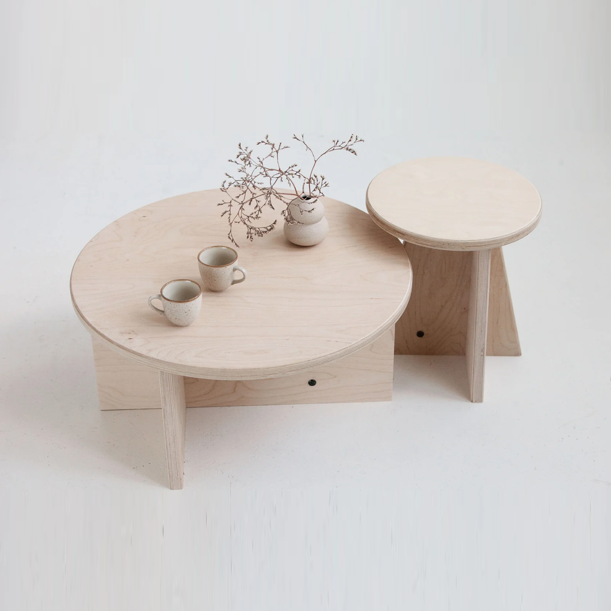 Set of Two Coffee Tables