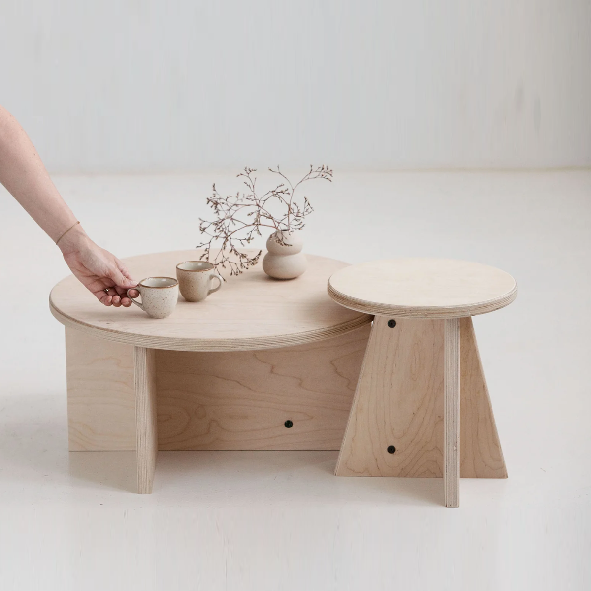 Set of Two Coffee Tables