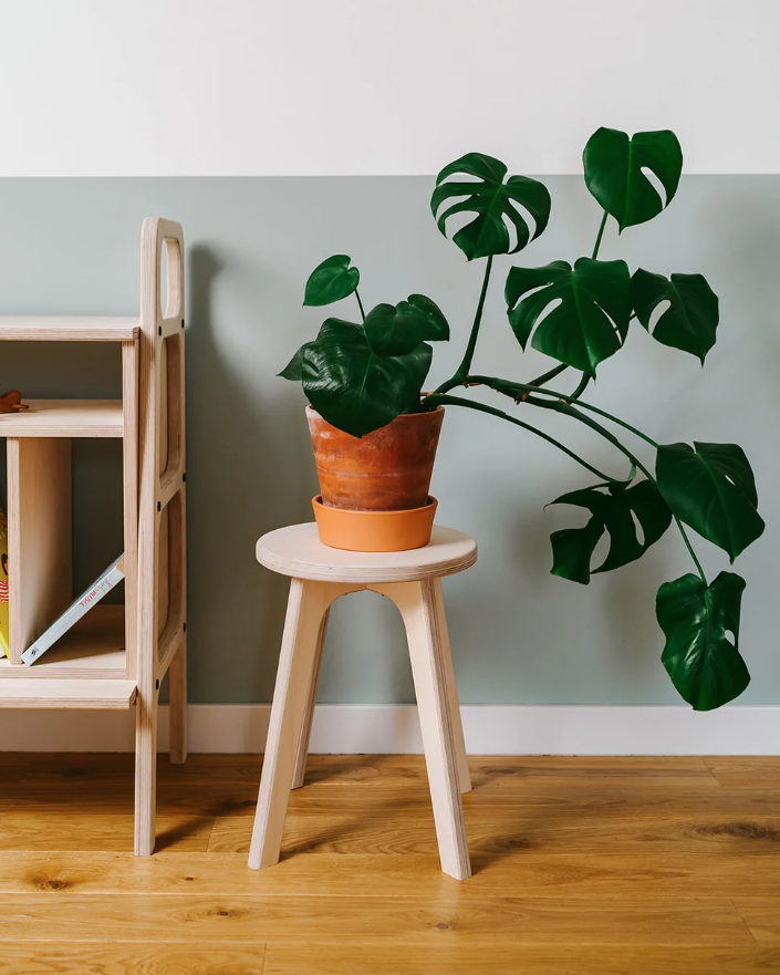 Sgabello mid-century · tondo
