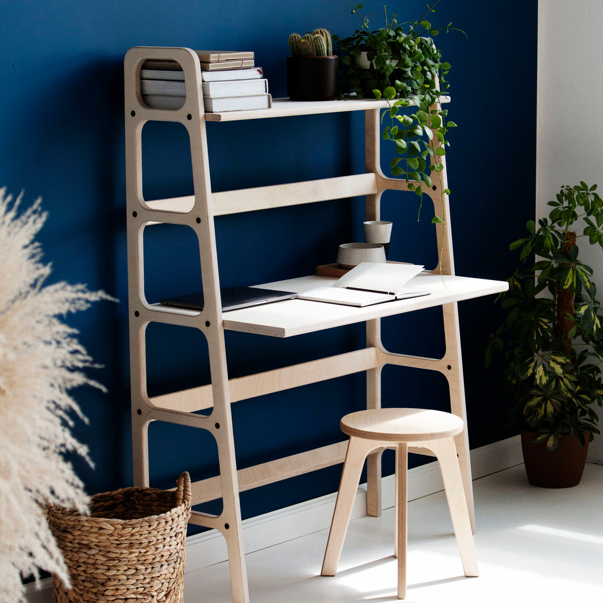 bookcase-with-desk-modern-design-in-daylight