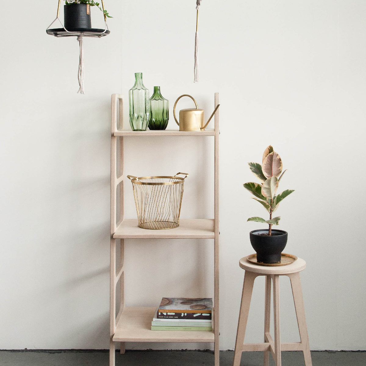 bookshelf-mid-century-modern-in-the-interior-with-plants