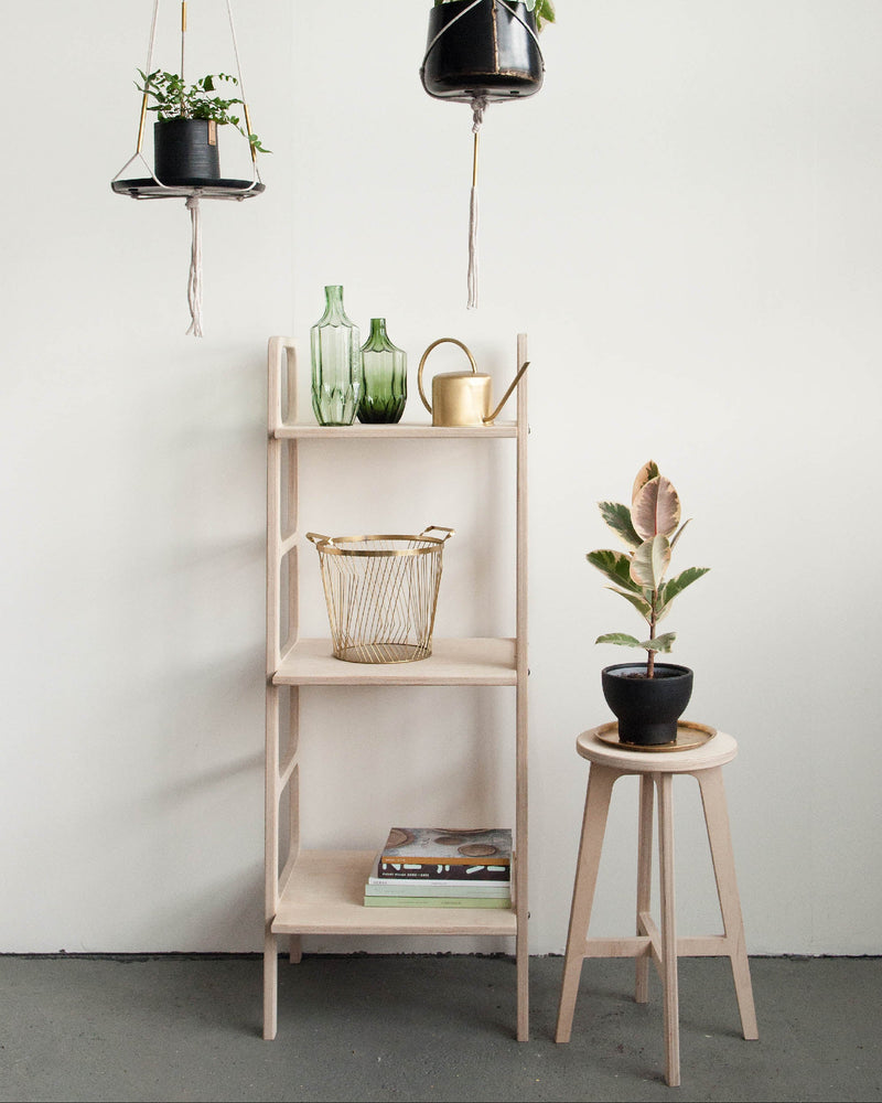 bookshelf-mid-century-modern-in-the-interior-with-plants