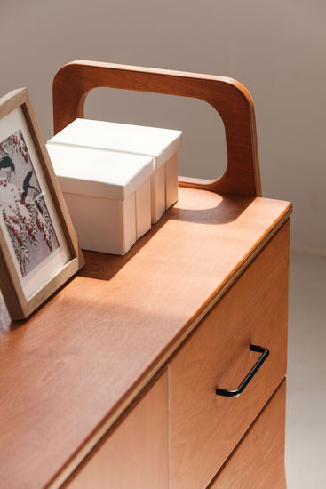 detail-of-wooden-teak-mid-century-record-cabinet