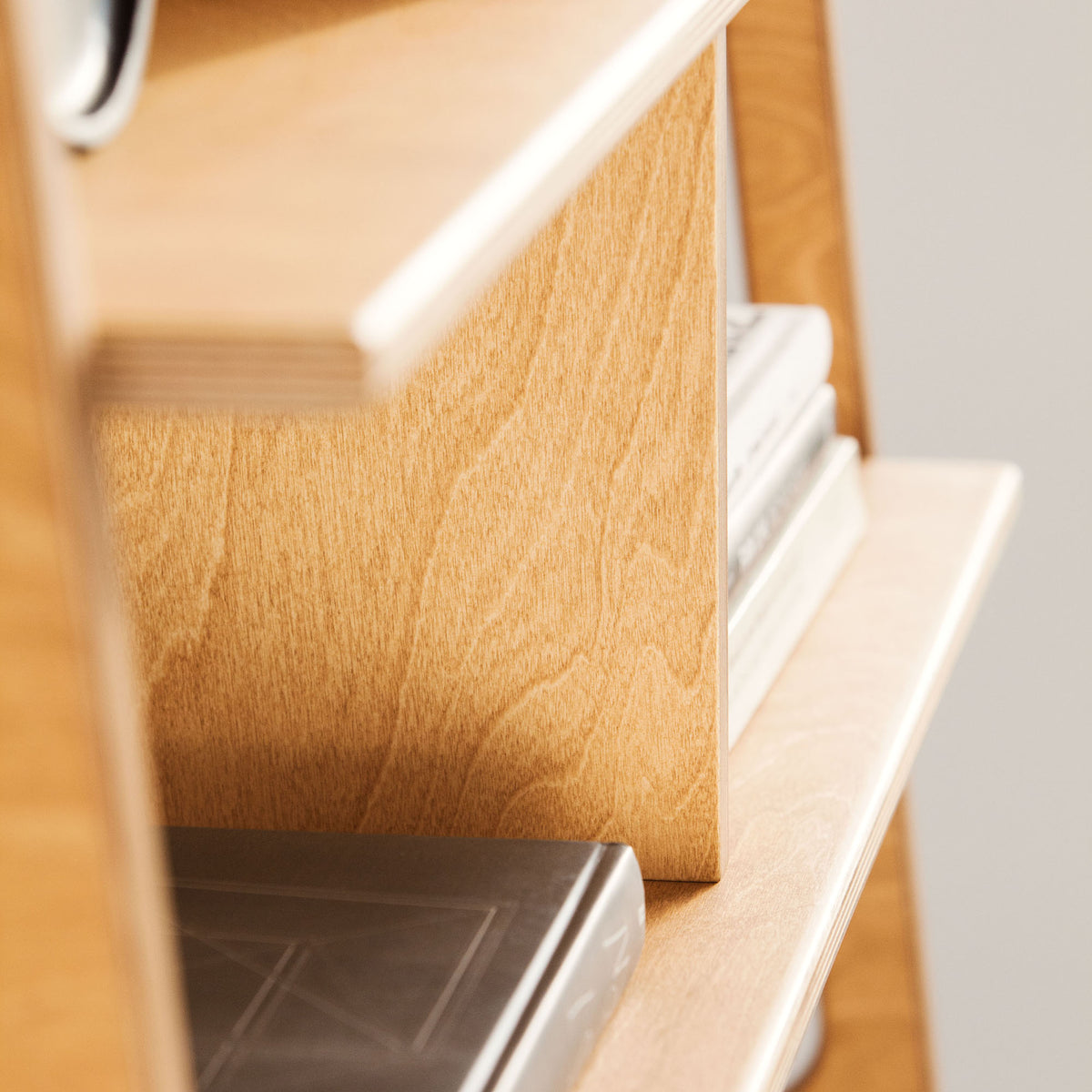 details-of-bookcase-mid-century-modern-wooden-design-in-the-afternoon-sun