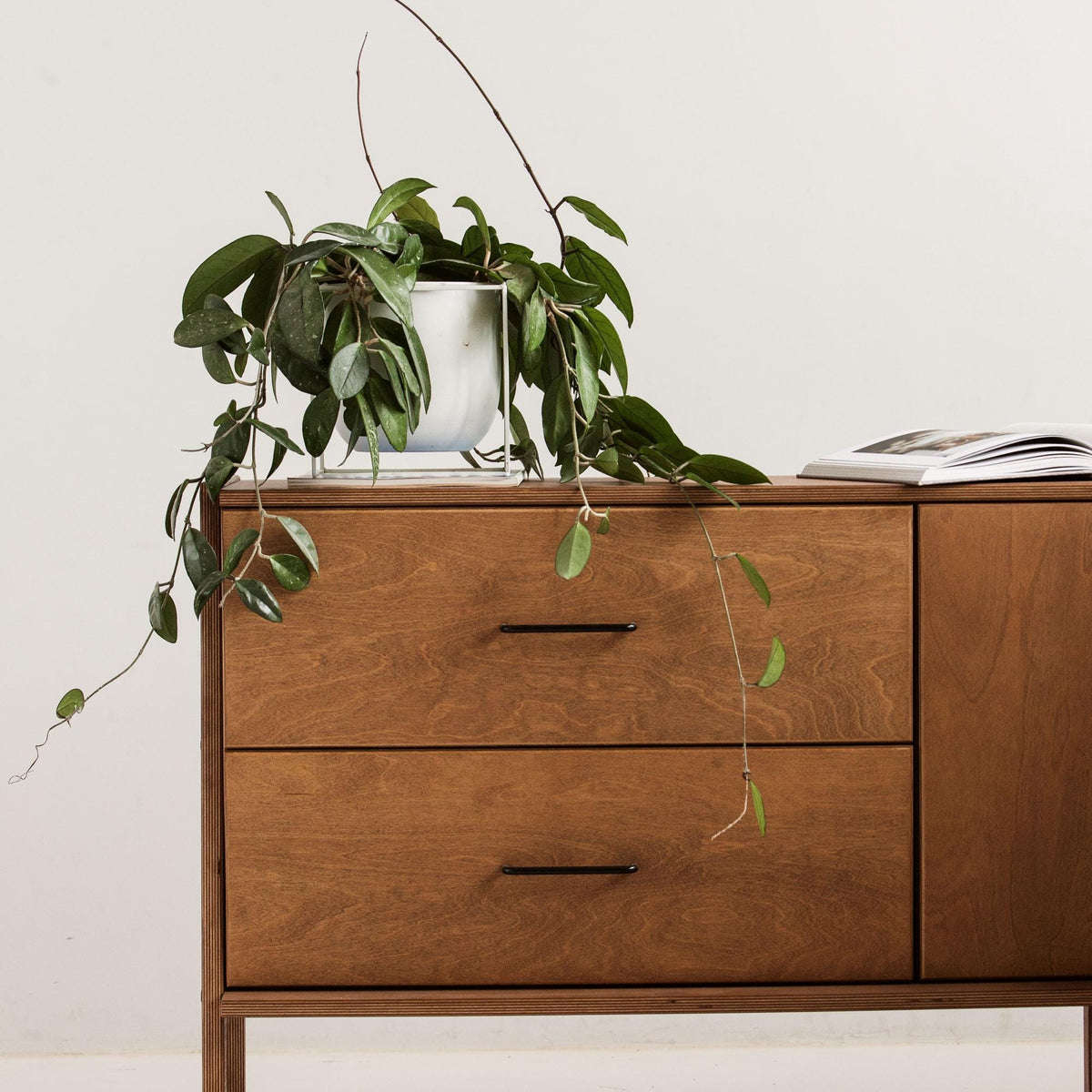 Bureau executive · Set XIX