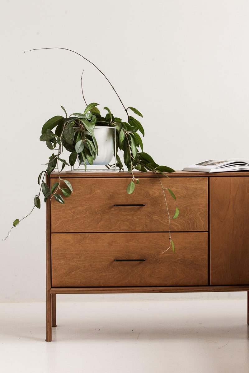Bureau executive · Set XIX