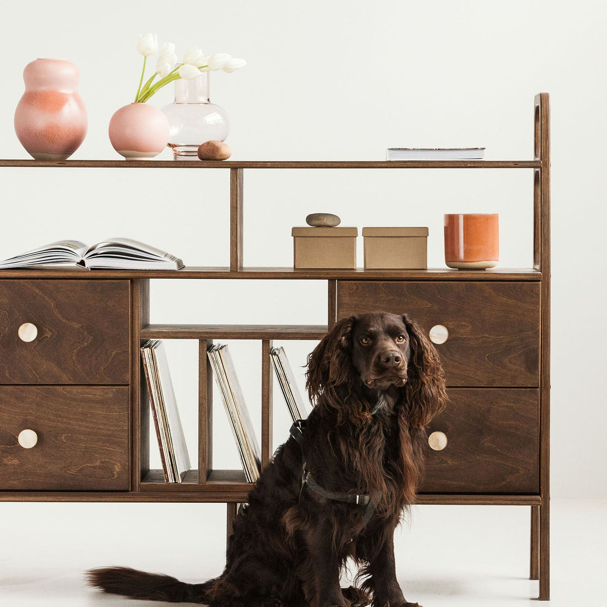 mid-century-modern-sideboard-with-drawers-and-vinyl-storage-in-walnut-stain-with-dog
