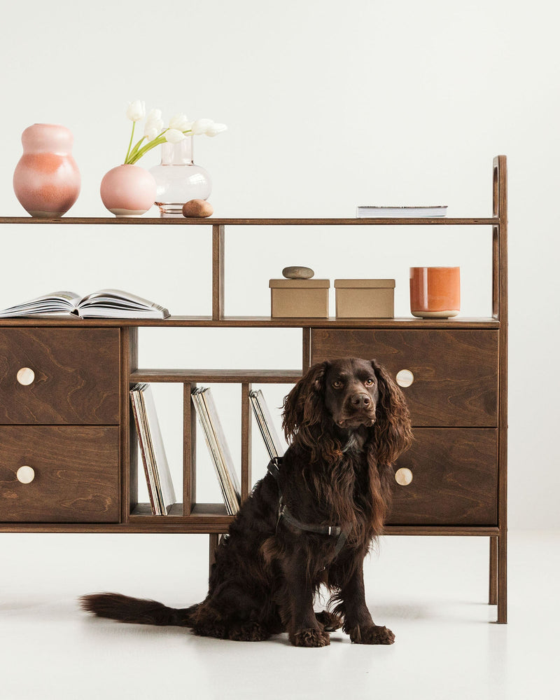 mid-century-modern-sideboard-with-drawers-and-vinyl-storage-in-walnut-stain-with-dog