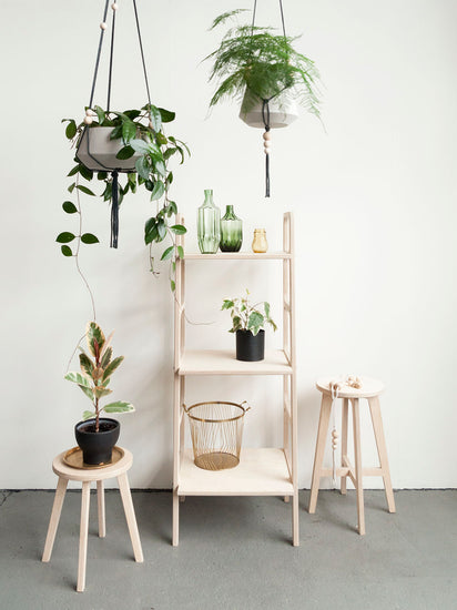 minimalist-bookcase-hand-made-with-plants