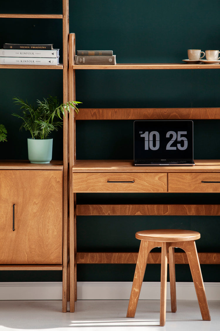 modern-mid-century-modern-desk-with-bookcase