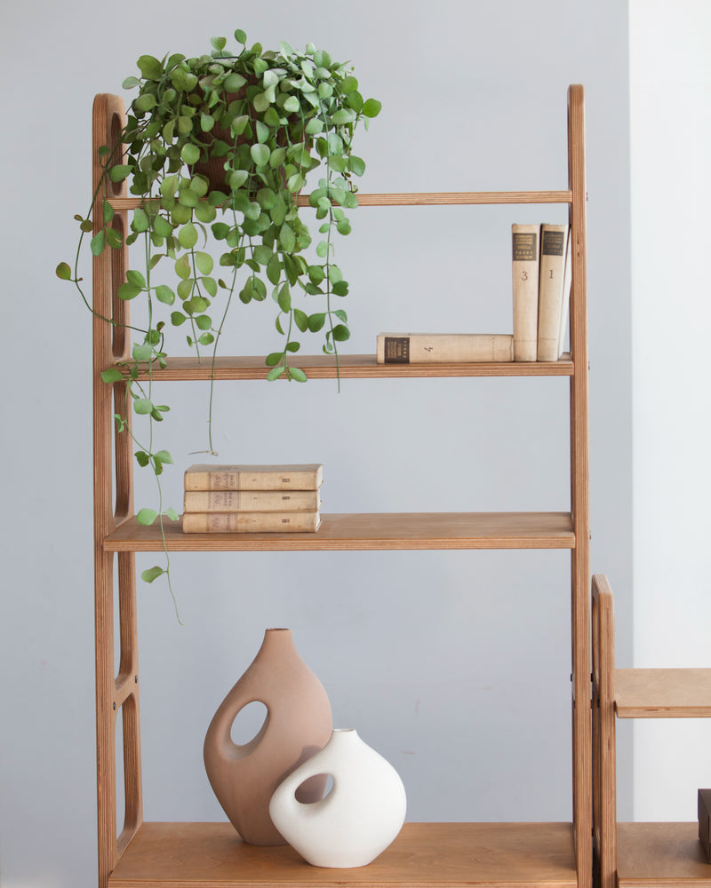 Living Room Wall Unit · Set III