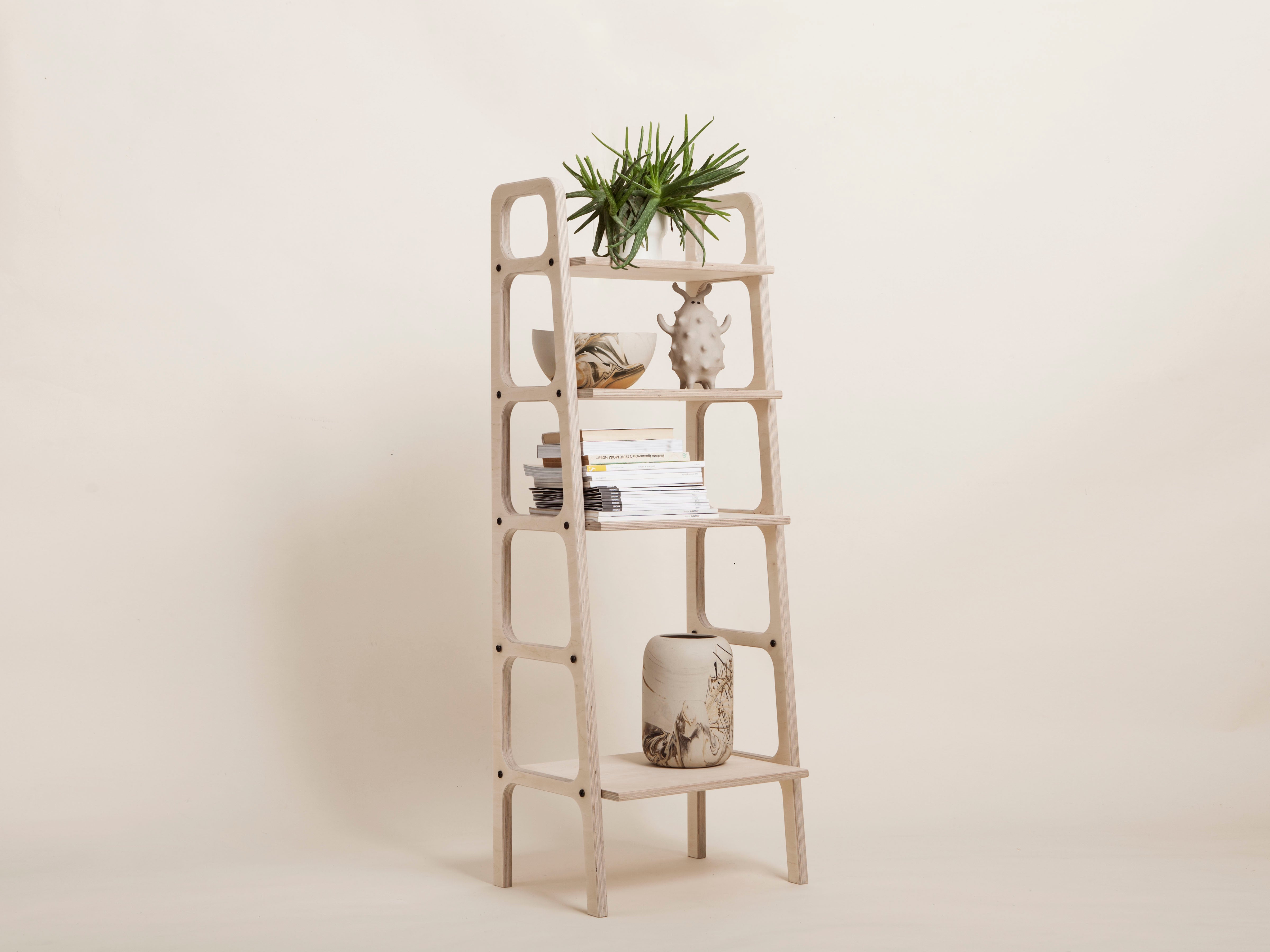 Minimalist Mid-Century Bookshelf: Functional Elegance