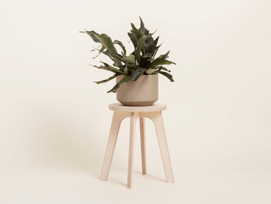 stool-for-plants-wooden-design