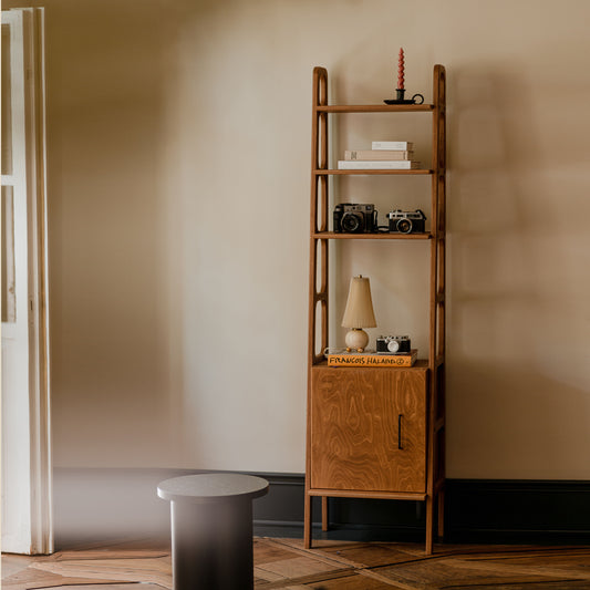 walnut-bookcase-with-cabinet-in-mid-century-modern-style